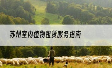苏州室内植物租赁服务指南