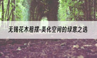 无锡花木租摆-美化空间的绿意之选