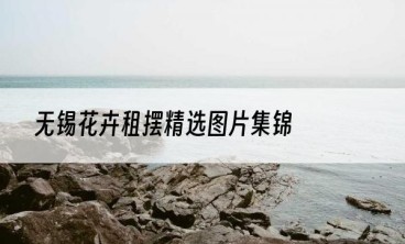 无锡花卉租摆精选图片集锦