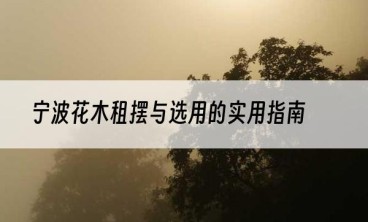 宁波花木租摆与选用的实用指南