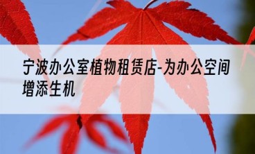 宁波办公室植物租赁店-为办公空间增添生机