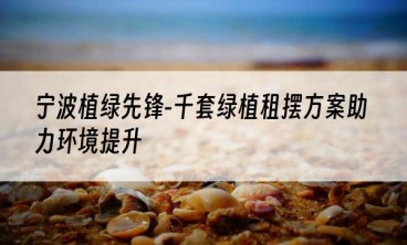 宁波植绿先锋-千套绿植租摆方案助力环境提升