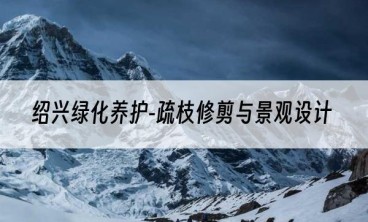 绍兴绿化养护-疏枝修剪与景观设计