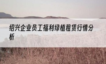 绍兴企业员工福利绿植租赁行情分析