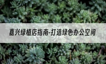 嘉兴绿植店指南-打造绿色办公空间