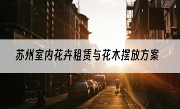 苏州室内花卉租赁与花木摆放方案