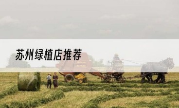 苏州绿植店推荐