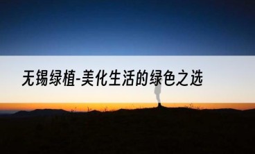无锡绿植-美化生活的绿色之选