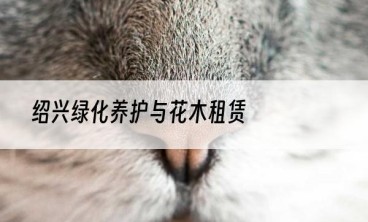 绍兴绿化养护与花木租赁