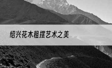 绍兴花木租摆艺术之美