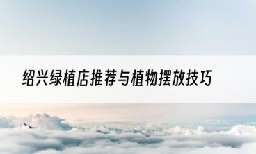 绍兴绿植店推荐与植物摆放技巧
