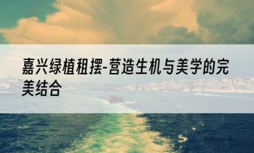 嘉兴绿植租摆-营造生机与美学的完美结合