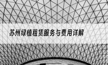苏州绿植租赁服务与费用详解