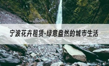 宁波花卉租赁-绿意盎然的城市生活