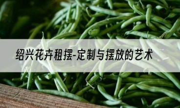 绍兴花卉租摆-定制与摆放的艺术