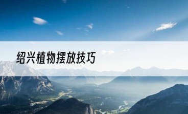 绍兴植物摆放技巧