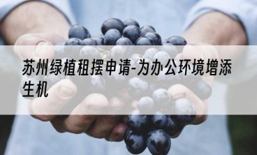 苏州绿植租摆申请-为办公环境增添生机