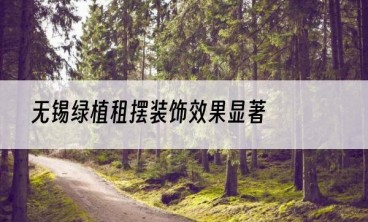 无锡绿植租摆装饰效果显著