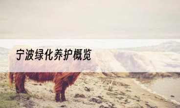 宁波绿化养护概览