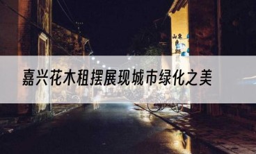 嘉兴花木租摆展现城市绿化之美