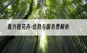 嘉兴租花卉-优势与服务费解析