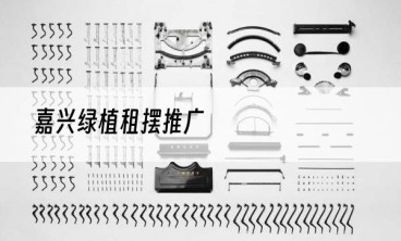 嘉兴绿植租摆推广