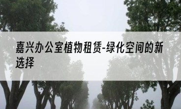 嘉兴办公室植物租赁-绿化空间的新选择