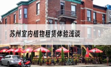 苏州室内植物租赁体验浅谈