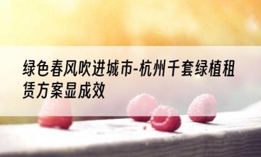 绿色春风吹进城市-杭州千套绿植租赁方案显成效