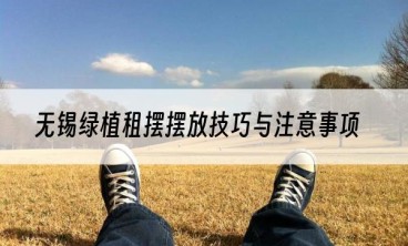 无锡绿植租摆摆放技巧与注意事项