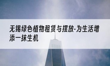 无锡绿色植物租赁与摆放-为生活增添一抹生机