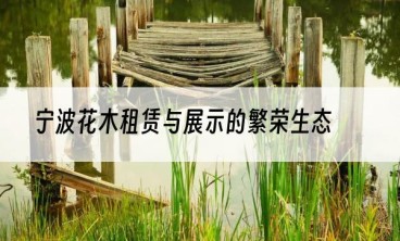 宁波花木租赁与展示的繁荣生态