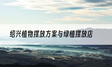 绍兴植物摆放方案与绿植摆放店