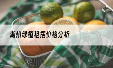 湖州绿植租摆价格分析
