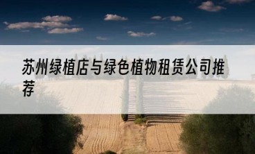 苏州绿植店与绿色植物租赁公司推荐