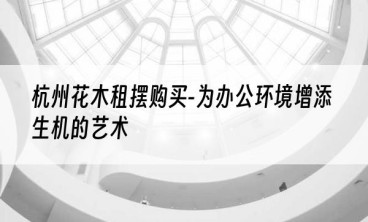 杭州花木租摆购买-为办公环境增添生机的艺术
