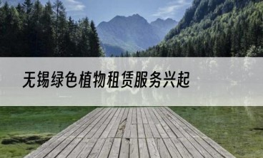 无锡绿色植物租赁服务兴起