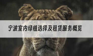 宁波室内绿植选择及租赁服务概览