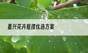 嘉兴花卉租摆优选方案