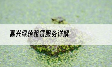 嘉兴绿植租赁服务详解