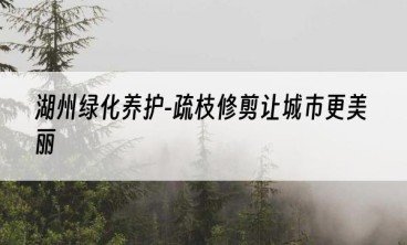 湖州绿化养护-疏枝修剪让城市更美丽