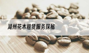 湖州花木租赁服务探秘