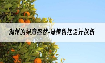 湖州的绿意盎然-绿植租摆设计探析