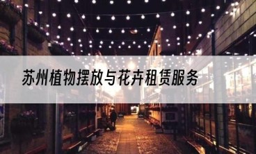 苏州植物摆放与花卉租赁服务