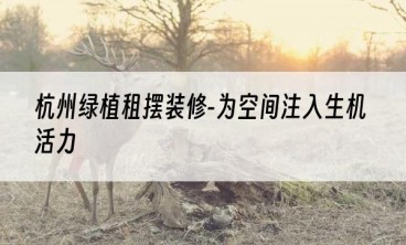 杭州绿植租摆装修-为空间注入生机活力