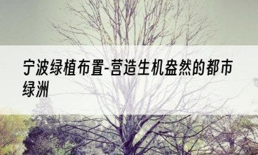 宁波绿植布置-营造生机盎然的都市绿洲