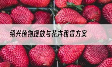 绍兴植物摆放与花卉租赁方案