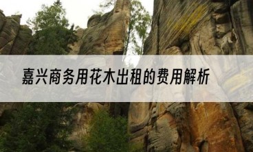嘉兴商务用花木出租的费用解析