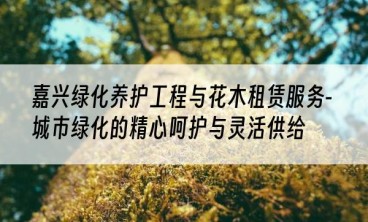 嘉兴绿化养护工程与花木租赁服务-城市绿化的精心呵护与灵活供给