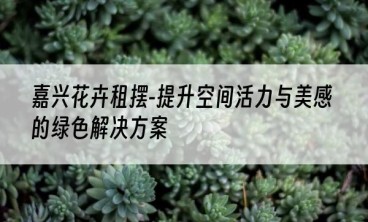 嘉兴花卉租摆-提升空间活力与美感的绿色解决方案